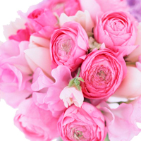 日本橋支店 エグゼクティブカウンセラー